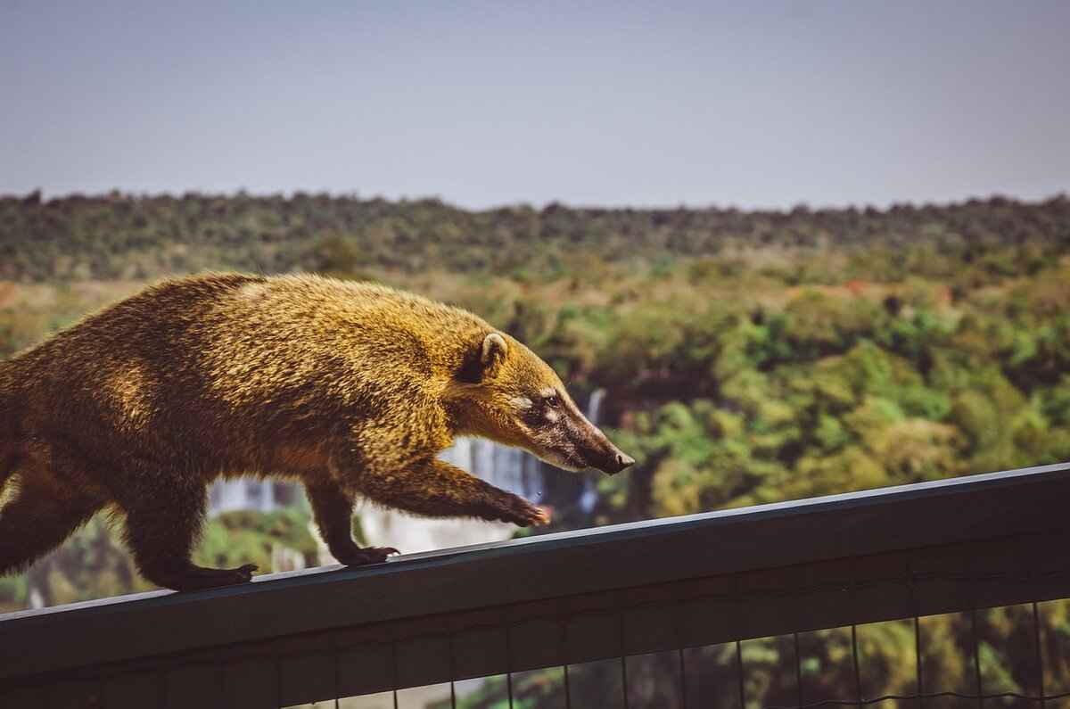 Living with Cataracts: Tips and Strategies