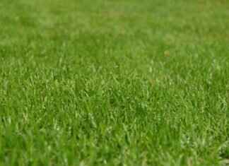 How Long Does It Take to Mow a 5-Acre Lot? Tips & Tricks How Long Does It Take to Mow a 5-Acre Lot? Tips & Tricks