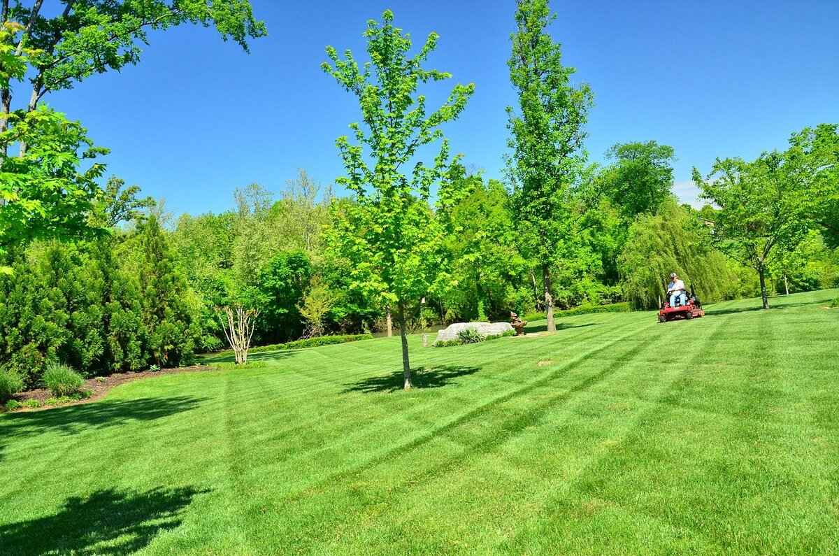 How Long Does It Take to Mow a 5-Acre Lot? Tips & Tricks 4 Estimating Mowing Time