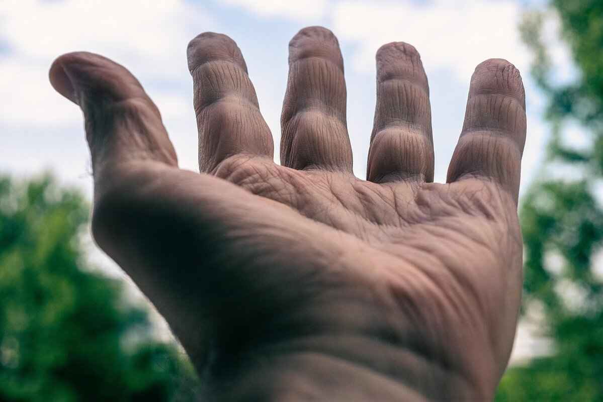 The Structure of the Monastic Diurnal