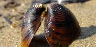 How Long Does It Take to Tan in UV 4? How Long Does It Take to Tan in UV 4?