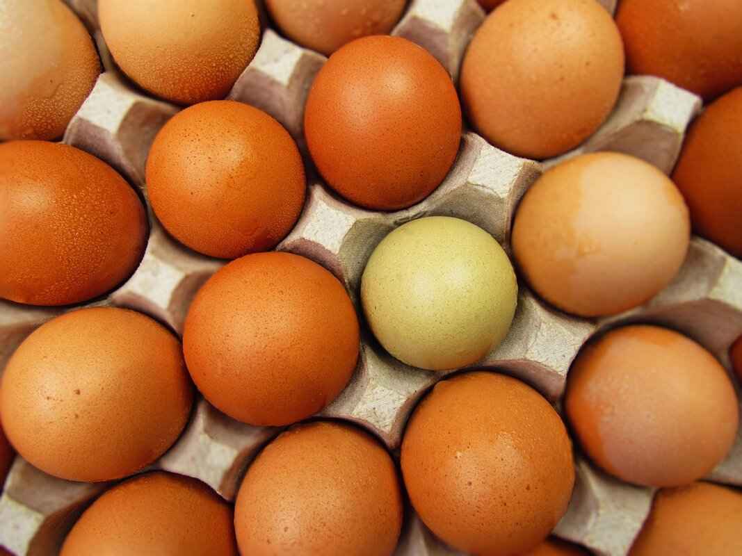 Post-Tanning Care for Lasting Results