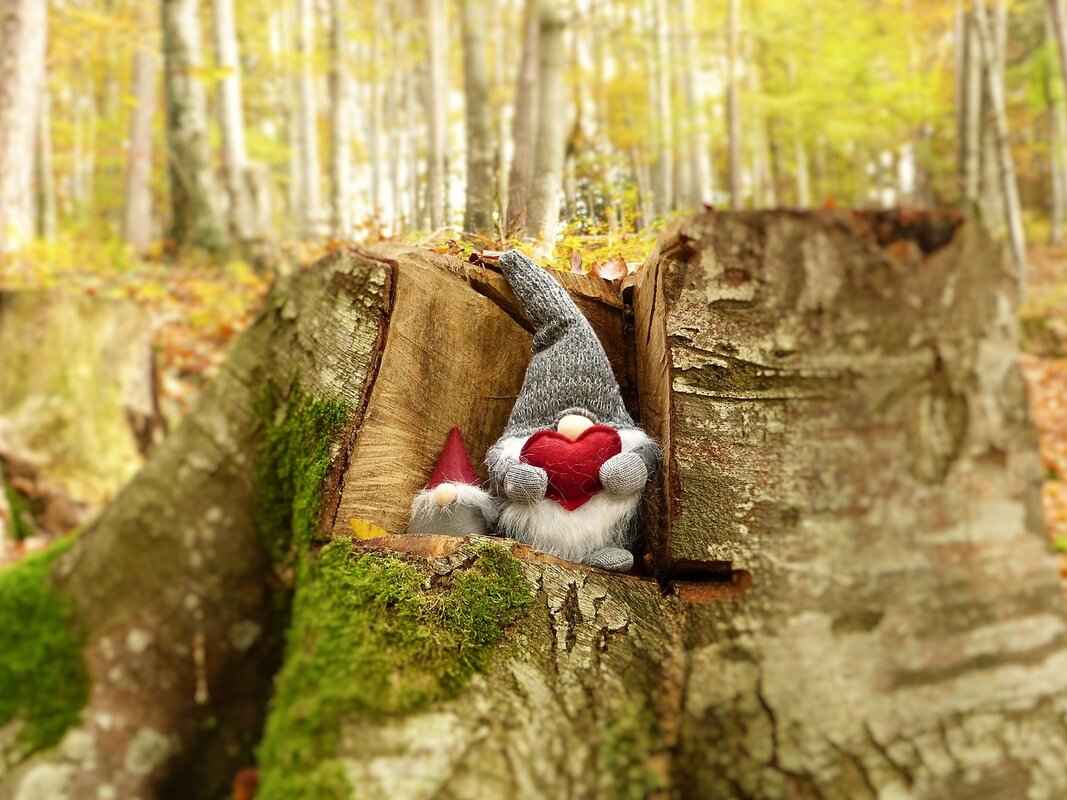 How Long Should I Wait Before Remarrying After Divorce? 2 Legal Considerations for Remarriage