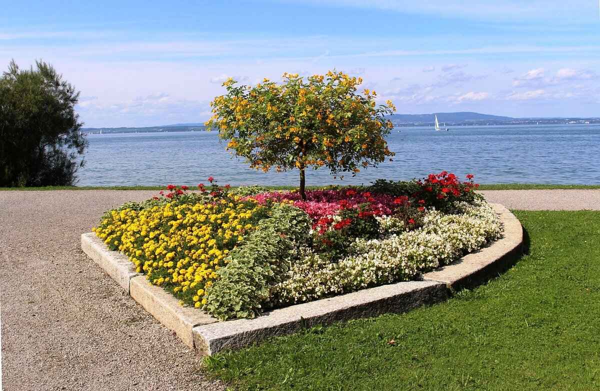 Understanding Tanning Beds and Their Effects