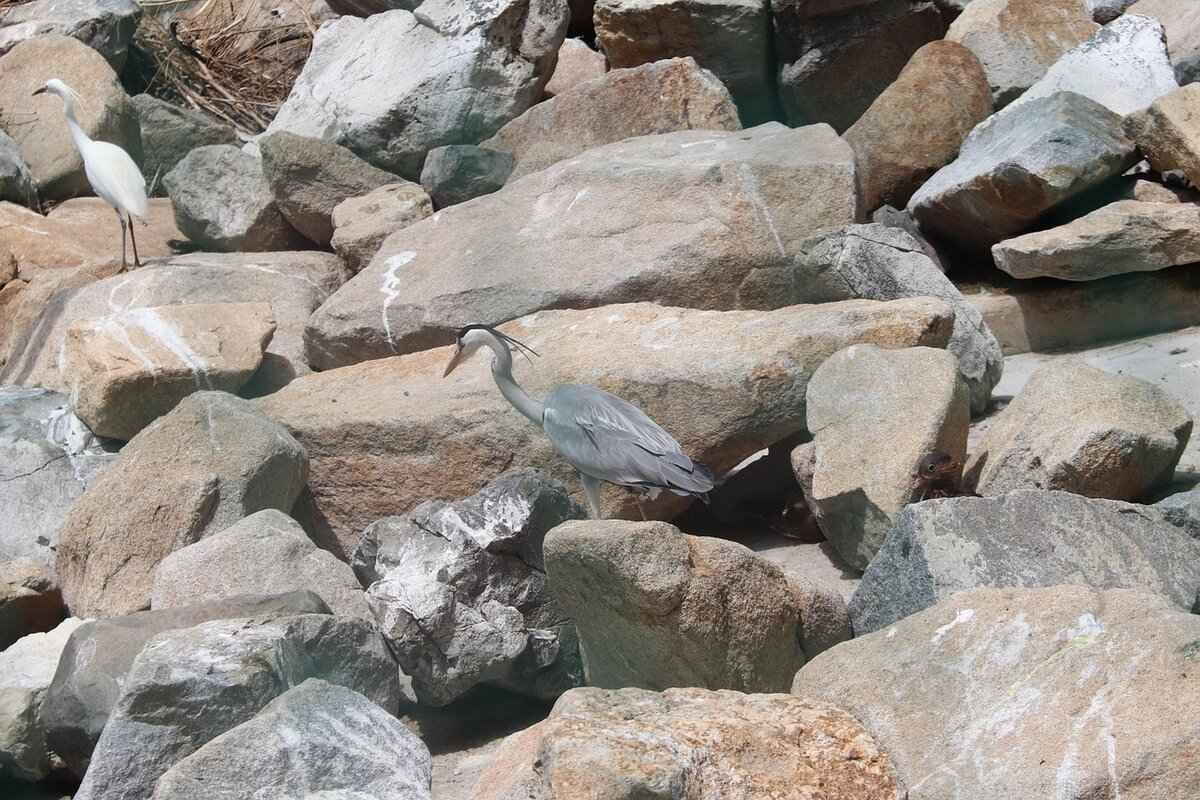 How Long to Dehydrate Jerky at 160°F for Ideal Texture? 3 Choosing the Right Meat for Jerky