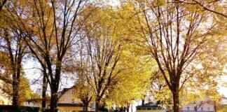 How Long to Get a Settlement Check After Signing Release? Timeline Explained How Long to Get a Settlement Check After Signing Release? Timeline Explained