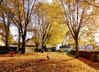 How Long to Get a Settlement Check After Signing Release? Timeline Explained How Long to Get a Settlement Check After Signing Release? Timeline Explained