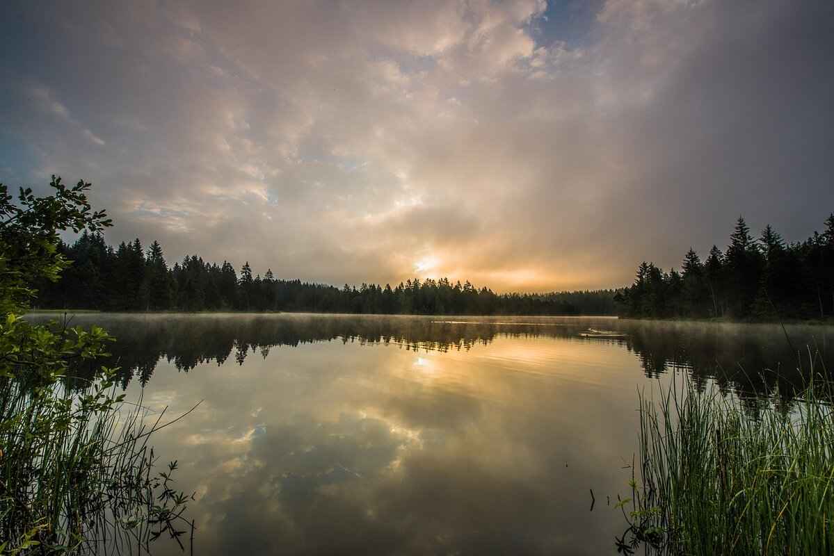 How Long Will You Go to Jail for Assault? Legal Consequences 1 Understanding Assault: Definitions and Types