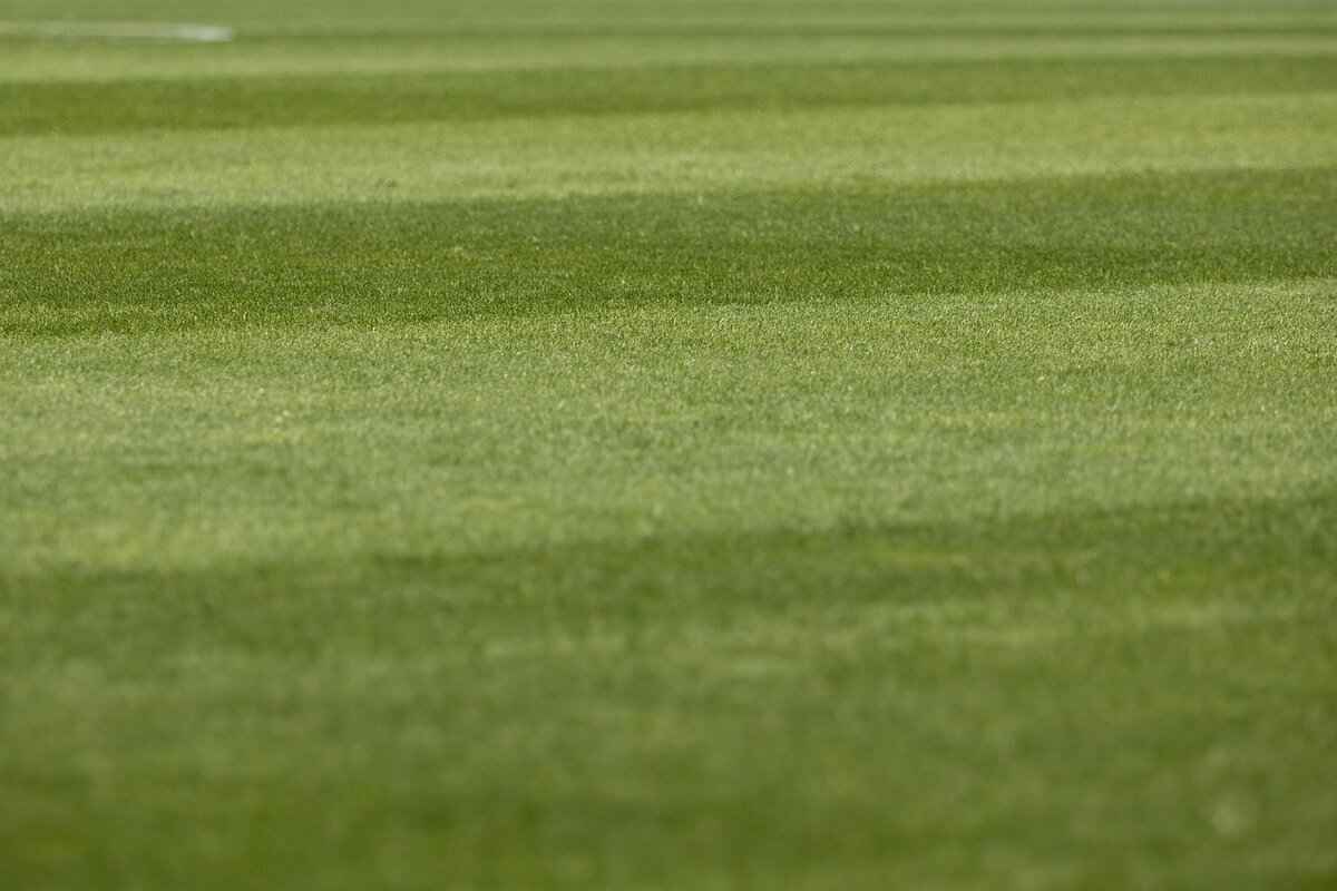 How Many Holes Are in a Football? The Answer Might Surprise You 1 The Design of a Football