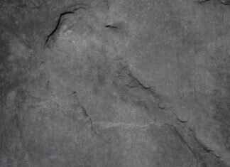 How Many Oscars Does Emma Stone Have? A Breakdown of Her Award Wins How Many Oscars Does Emma Stone Have? A Breakdown of Her Award Wins