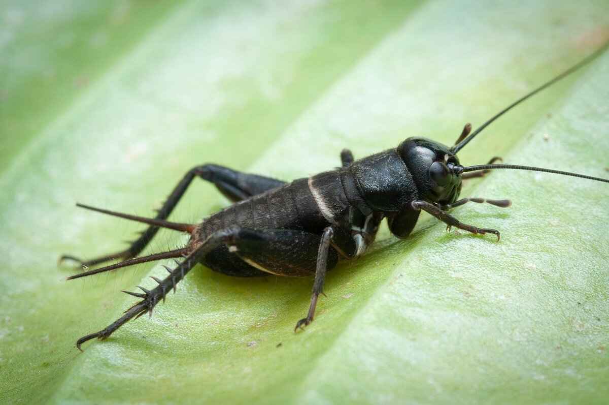 What Are Emma Stone's Oscar Wins?