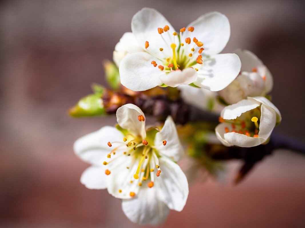 How Many Shots of Tequila Does It Take to Get Drunk? 5 Signs of Intoxication to Watch For