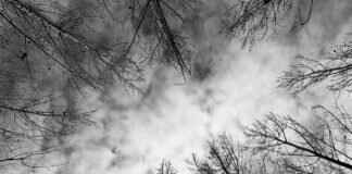 How Many Shots of Tequila to Get Tipsy: Know Your Limits How Many Shots of Tequila to Get Tipsy: Know Your Limits