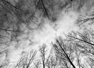 How Many Shots of Tequila to Get Tipsy: Know Your Limits How Many Shots of Tequila to Get Tipsy: Know Your Limits