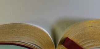 How Many Websites Are Dedicated to the Bible? A Surprising Look How Many Websites Are Dedicated to the Bible? A Surprising Look