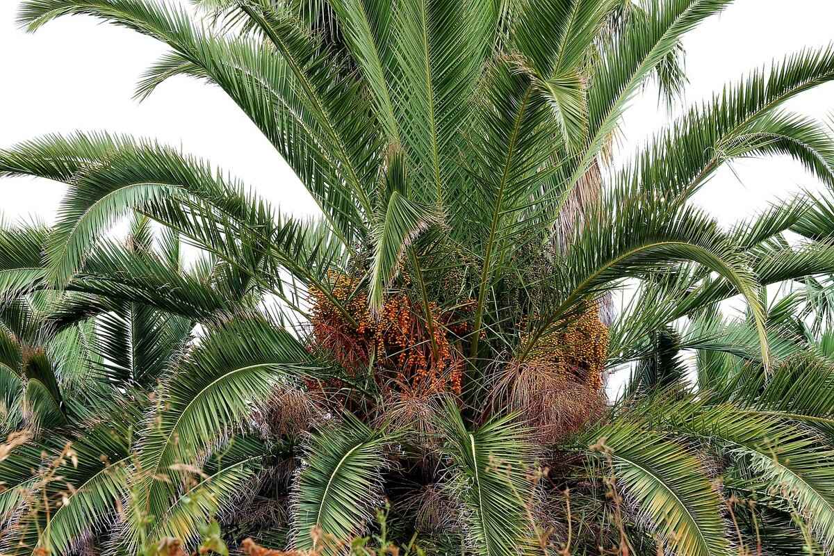 What Are the Consequences of Rigid Standards?