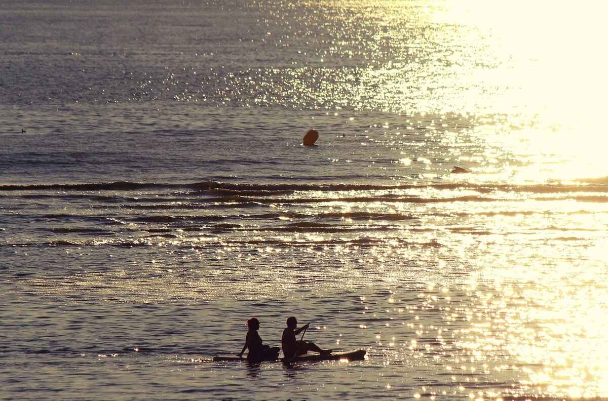 How Much Does It Cost to Board a Horse? What to Expect 1 Understanding Horse Boarding Costs