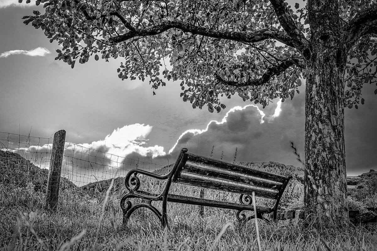 Understanding Bench Warrants