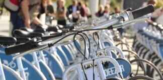 How Much Does It Cost to Rent a Bobcat for Construction? How Much Does It Cost to Rent a Bobcat for Construction?