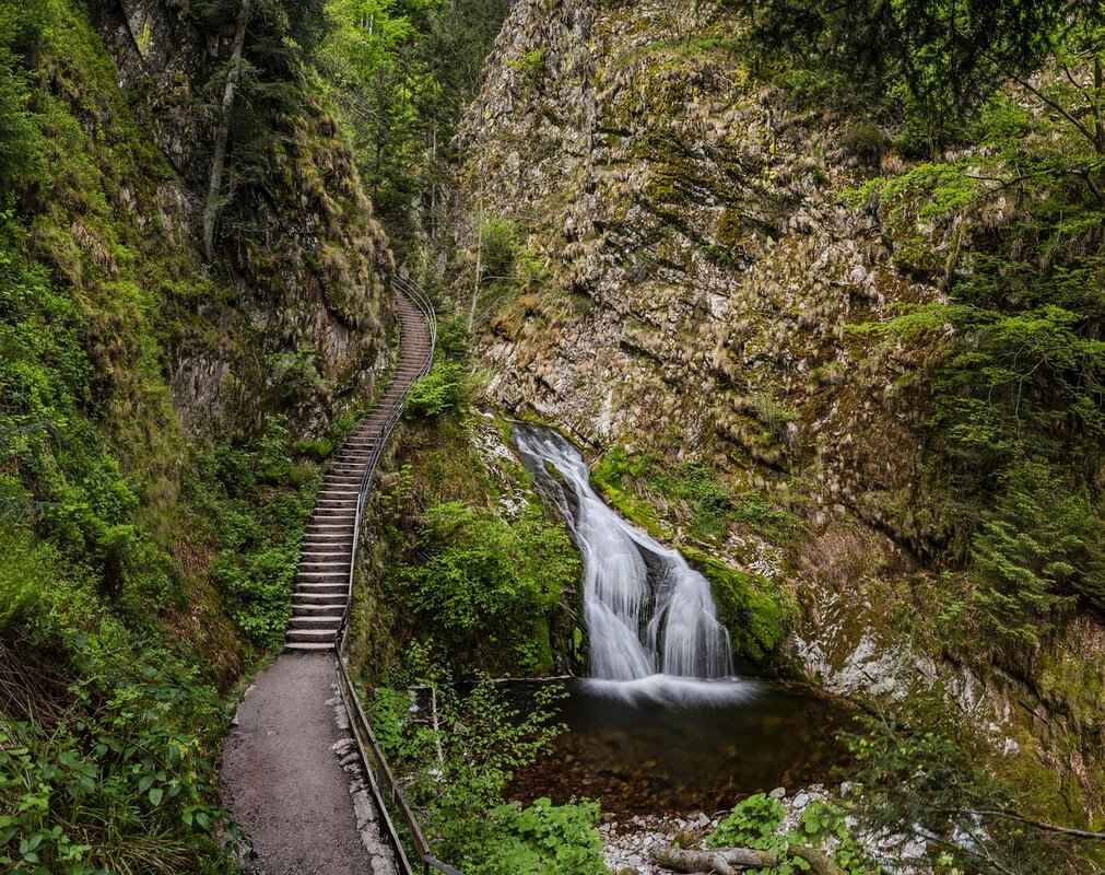 Understanding Rental Agreements