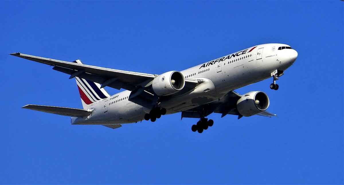 Comparing Charter Companies