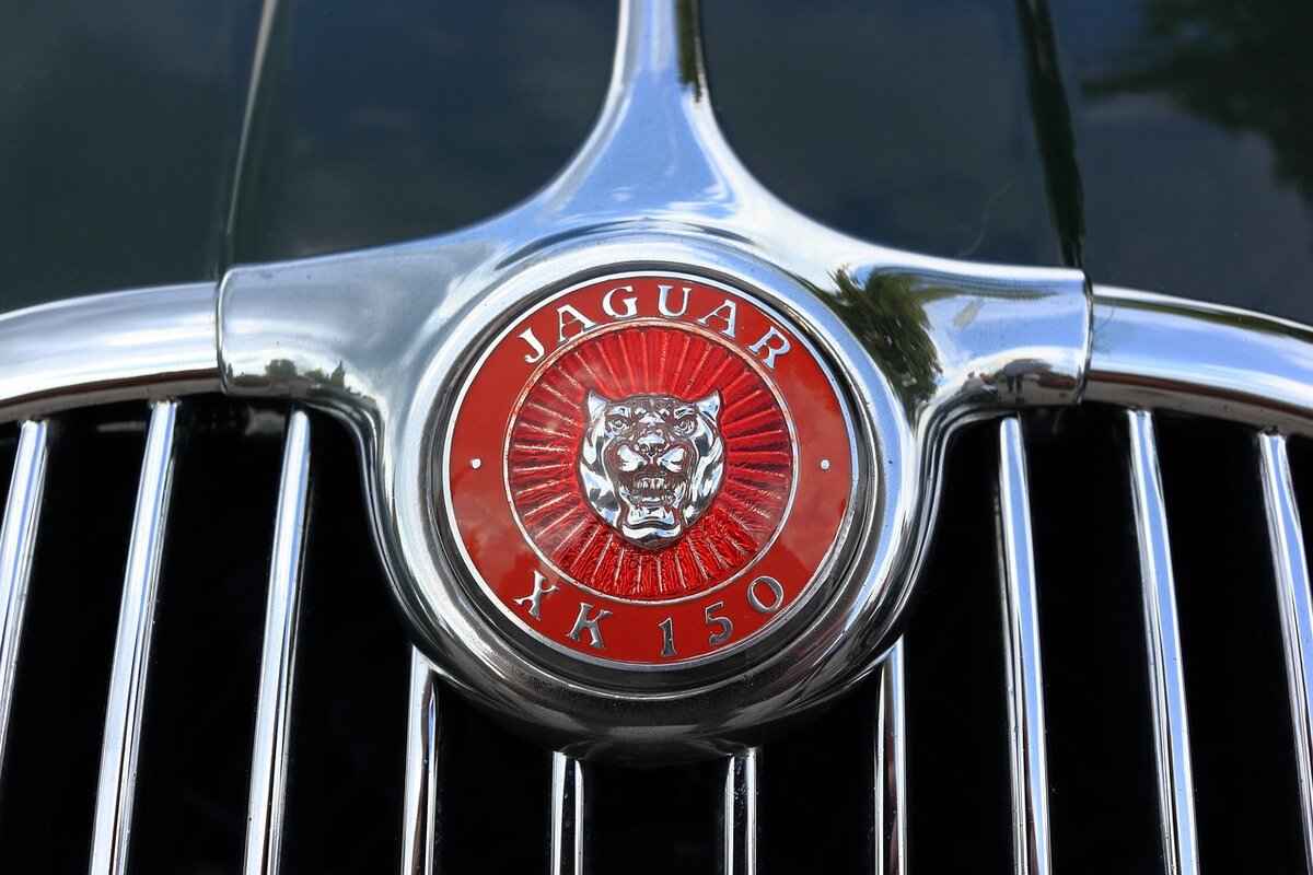 How Much Does It Cost to Repaint the Hood of a Car? 3 Labor Costs for Repainting a Car Hood