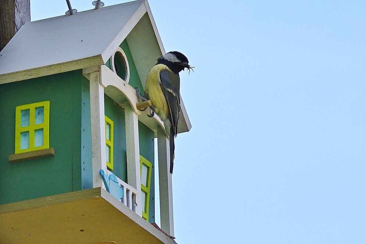 How Much Does It Cost to Repipe a House? Budgeting Tips 7 Long-Term Benefits of Repiping