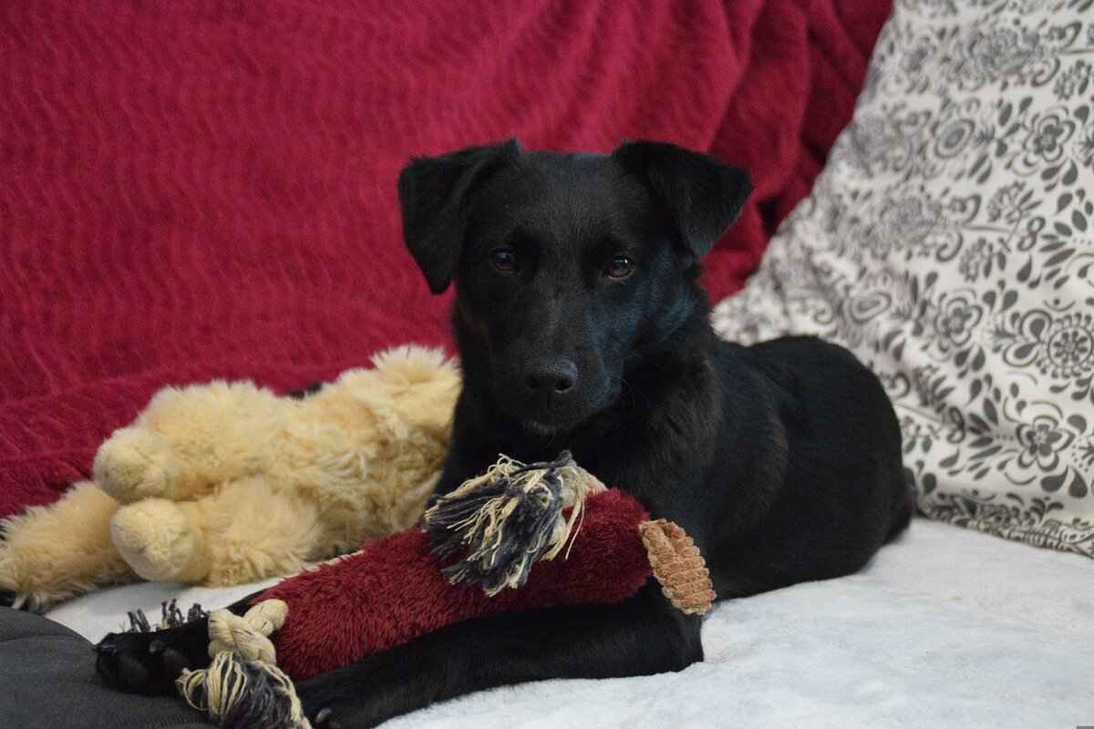 Emotional and Psychological Costs