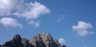 How Much Should You Tip a Driver? Etiquette & Guidelines How Much Should You Tip a Driver? Etiquette & Guidelines