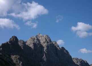 How Much Should You Tip a Driver? Etiquette & Guidelines How Much Should You Tip a Driver? Etiquette & Guidelines