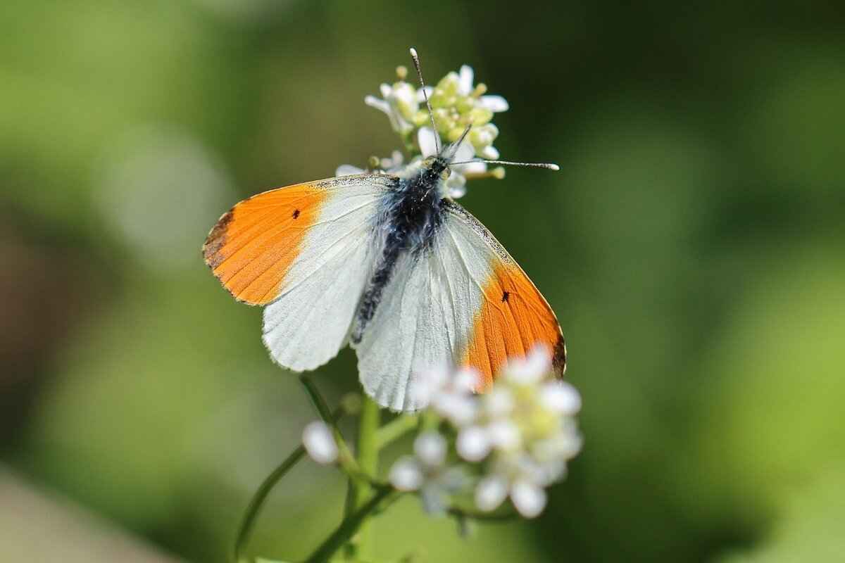 Special Situations: When to Tip More