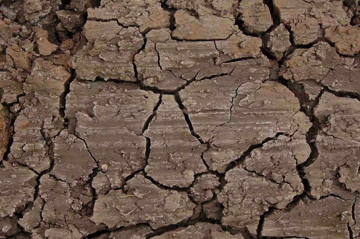 How Much to Fix a Cracked Tooth: Affordable Solutions 2 Common Types of Tooth Cracks