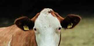 How Often Do You Have to Refill ATMs? A Cash Management Guide How Often Do You Have to Refill ATMs? A Cash Management Guide