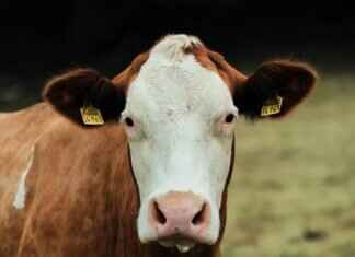 How Often Do You Have to Refill ATMs? A Cash Management Guide How Often Do You Have to Refill ATMs? A Cash Management Guide