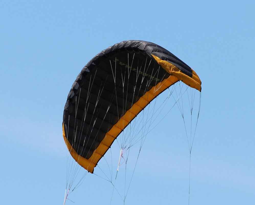 How Often Should You Replace Windshield Wipers for Optimal Performance 1 How Often Should You Replace Windshield Wipers?