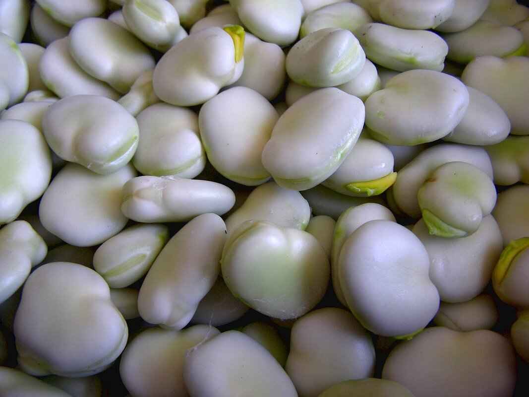 How Red Bean & Black Sesame Are Used in Asian Sweets 2 How Are Red Beans Used in Asian Desserts?