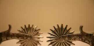 How the Culture of West Bengal is Shaping India’s Identity How the Culture of West Bengal is Shaping India’s Identity