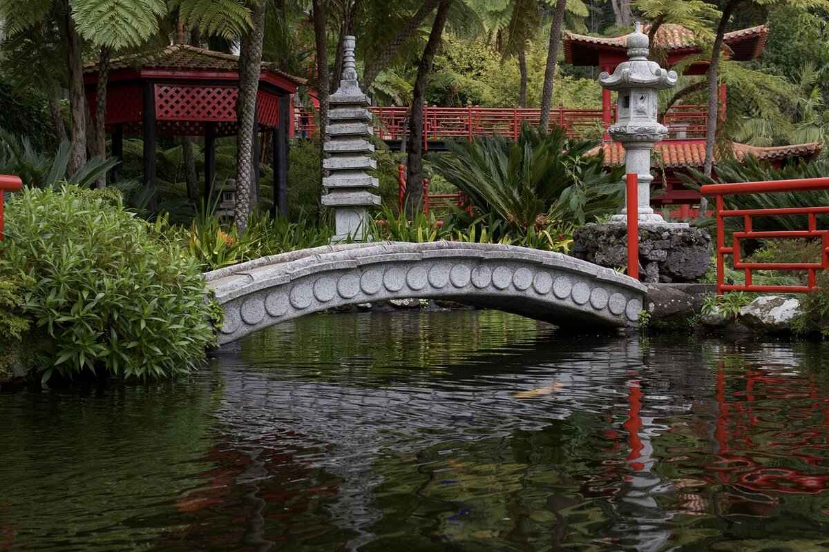 How the Japanese Diet Promotes Longevity & Weight Loss 1 What Are the Key Components of the Japanese Diet?