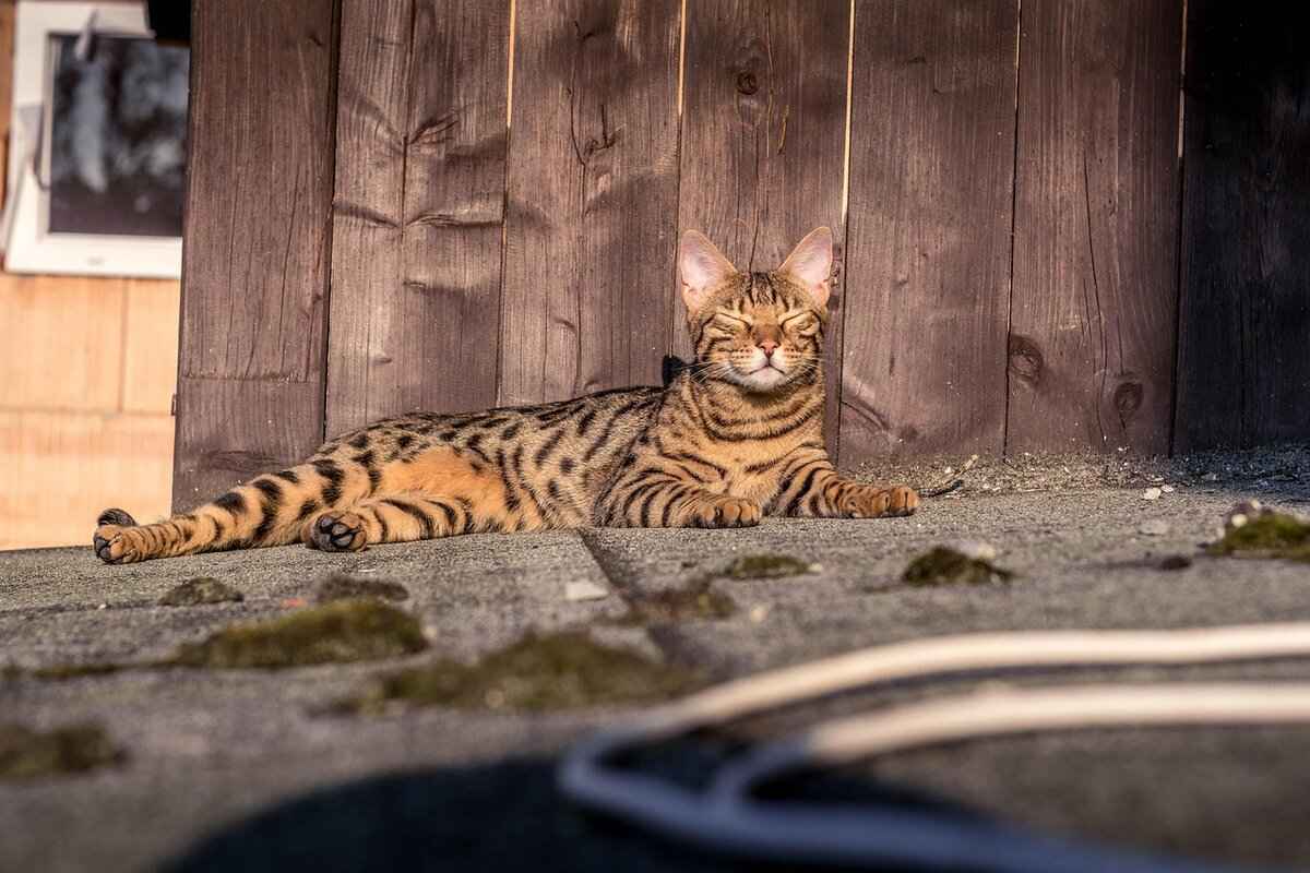 Government Initiatives Supporting Economic Development