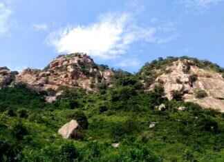 How the West Bengal Government is Improving Infrastructure in 2024 How the West Bengal Government is Improving Infrastructure in 2024