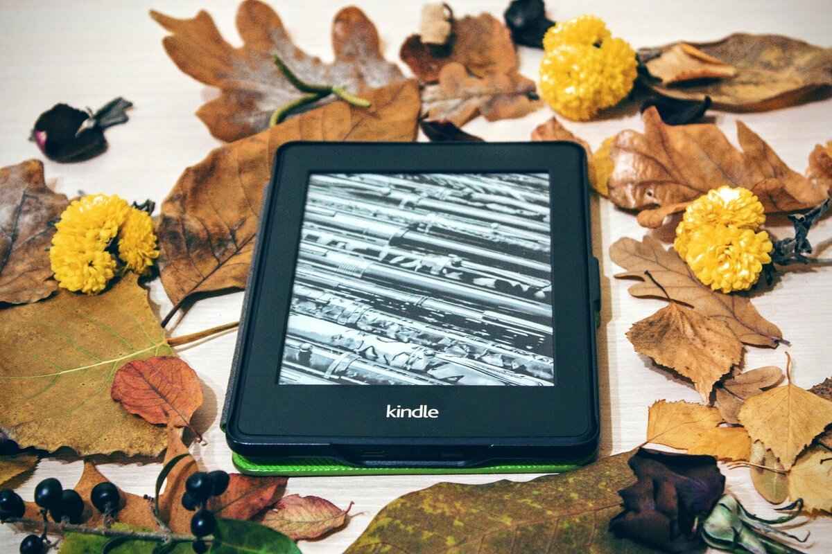 What is MyBookCave.com?