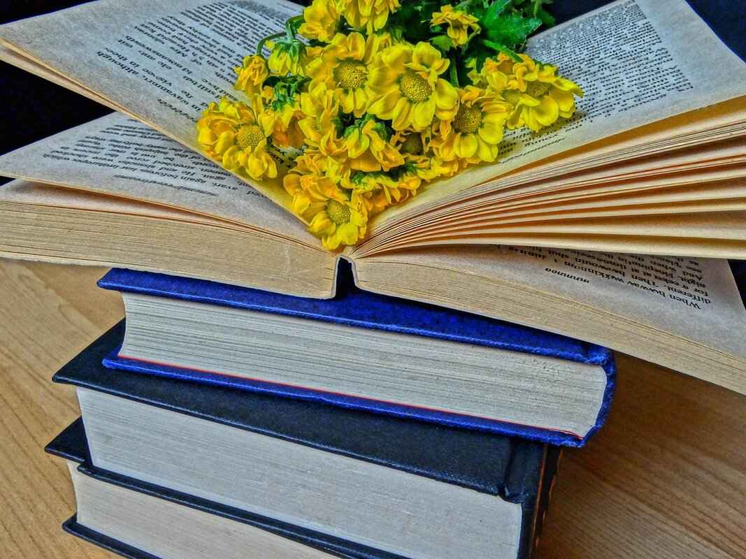 How to Download eBooks from MyBookCave