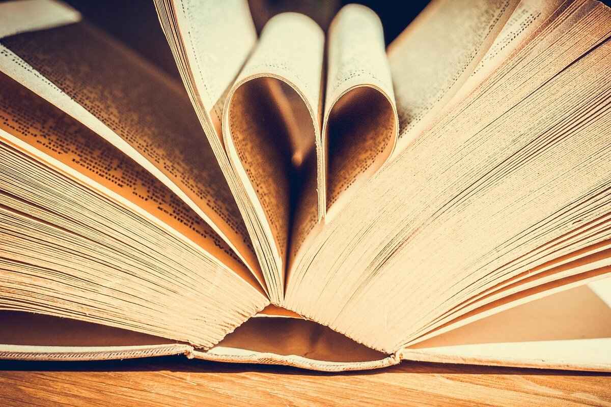 Conclusion: Enjoying Free Books on MyBookCave