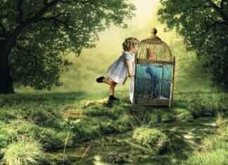 How to Add Space Between Chapters in an EPUB File How to Add Space Between Chapters in an EPUB File