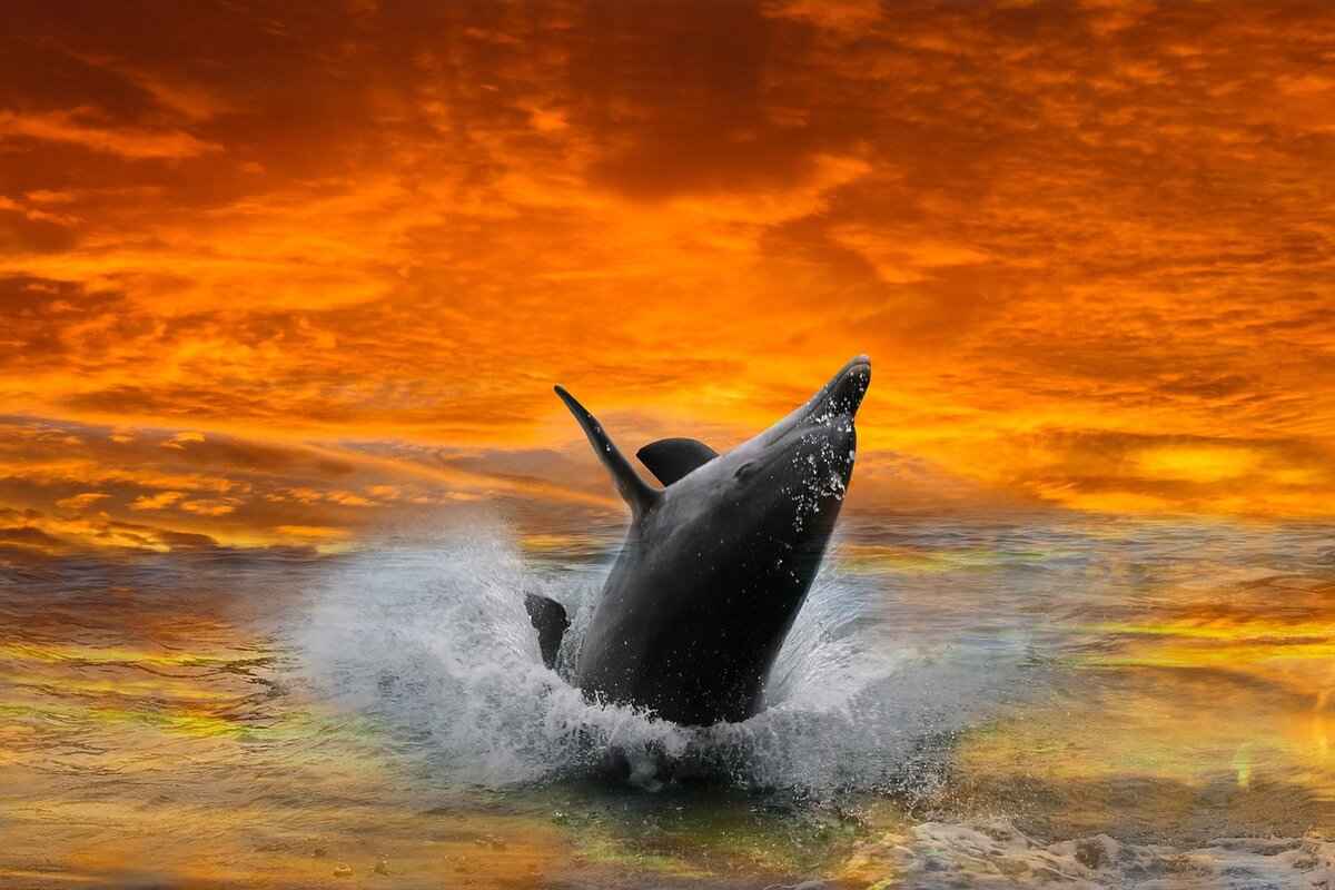 How to Add Space Between Chapters in an EPUB File 3 Tools for Editing EPUB Files