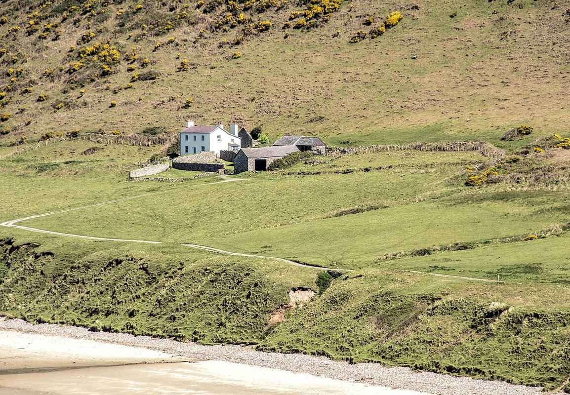 Creating an Impressive Resume for Amazon Applications