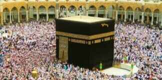 How to Apply Waopelzumoz088: A Beginner’s Guide How to Apply Waopelzumoz088: A Beginner’s Guide