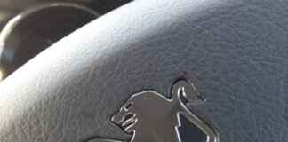 How to Ask AI to Make a Unique Shroom Logo for You How to Ask AI to Make a Unique Shroom Logo for You