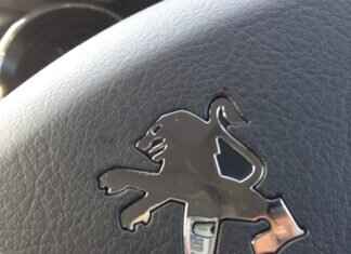 How to Ask AI to Make a Unique Shroom Logo for You How to Ask AI to Make a Unique Shroom Logo for You