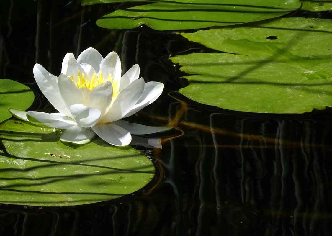 Time Management Techniques